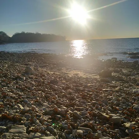 M I M * بوريتش